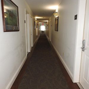 NonSmoking King Balcony PET FRIENDLY